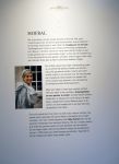 Soestdijk 20 november 2024
Prinses Margarita opent de tentoonstelling schitteren op Soestdijk . Patrick v Katwijk heeft de fotos gemaakt .