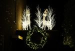 Wilnis 9 november 2025
Het huis van Andre Hazes en Noa Braaf is al helemaal versierd met kerstverlichting .