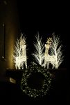 Wilnis 9 november 2025
Het huis van Andre Hazes en Noa Braaf is al helemaal versierd met kerstverlichting .