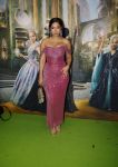 Amsterdam 18 november 2025
Premiere Wicked in het deLaMar theater . April darby