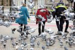 Den Haag 20 november 2025
 Prinses Amalia en haar vader Koning Willem Alexander bij de Grote Kerk, na de Bijzondere Verenigde Vergadering van de Eerste en Tweede Kamer, ter gelegenheid van de tachtigste verjaardag dat het parlement na de Tweede Wereldoorlog voor het eerst weer in gezamenlijkheid bijeenkwam. Eerste Kamervoorzitter Mei Li Vos Tweede Kamervoorzitter Thom van Campenvingen ze op . Heel veel duiven