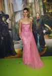Amsterdam 18 november 2025
Premiere Wicked in het deLaMar theater . Estelle Kieft