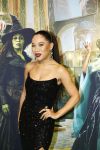 Amsterdam 18 november 2025
Premiere Wicked in het deLaMar theater . Gaia Aikman
