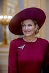 Den Haag 19 november 2025
Guillaume van Luxemburg en zijn vrouw Stephanie bezoeken koning Willem Alexander en Koningin Maxima op paleis Noordeinde .