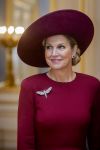 Den Haag 19 november 2025
Guillaume van Luxemburg en zijn vrouw Stephanie bezoeken koning Willem Alexander en Koningin Maxima op paleis Noordeinde .