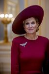 Den Haag 19 november 2025
Guillaume van Luxemburg en zijn vrouw Stephanie bezoeken koning Willem Alexander en Koningin Maxima op paleis Noordeinde .