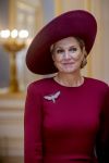 Den Haag 19 november 2025
Guillaume van Luxemburg en zijn vrouw Stephanie bezoeken koning Willem Alexander en Koningin Maxima op paleis Noordeinde .