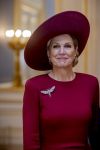 Den Haag 19 november 2025
Guillaume van Luxemburg en zijn vrouw Stephanie bezoeken koning Willem Alexander en Koningin Maxima op paleis Noordeinde .