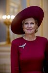 Den Haag 19 november 2025
Guillaume van Luxemburg en zijn vrouw Stephanie bezoeken koning Willem Alexander en Koningin Maxima op paleis Noordeinde .