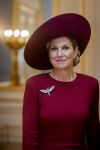 Den Haag 19 november 2025
Guillaume van Luxemburg en zijn vrouw Stephanie bezoeken koning Willem Alexander en Koningin Maxima op paleis Noordeinde .