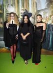 Amsterdam 18 november 2025
Premiere Wicked in het deLaMar theater . Og3ne