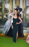 Amsterdam 18 november 2025
Premiere Wicked in het deLaMar theater .