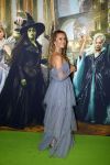 Amsterdam 18 november 2025
Premiere Wicked in het deLaMar theater . Sterre Koning