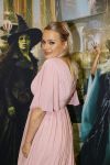 Amsterdam 18 november 2025
Premiere Wicked in het deLaMar theater . Tess Milne kwam met een vriend