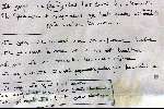 Amsterdam 7 december 2000
Handschrift Maxima