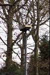 Wassenaar 5 december 2001
Landgoed de HORSTEN .waar Prins Willem Alexander en MAXIMA gaan wonen.
Camera bewaking