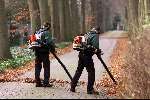 Wassenaar 5 december 2001
Landgoed de HORSTEN .waar Prins Willem Alexander en MAXIMA gaan wonen.
Tuinmannen aan het oprapen van bladeren