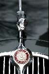 Jaguar Embleem