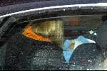 Amsterdam 28 december 2003
Prinses Maxima en Prinses Amalia wandelen met ouders Maxima en broer en zus bij Paleis op de Dam.Jorge Zorreguita en Carmen Zorreguita
Peter Smulders bv