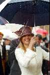 Wijhe en deventer 30 april
Koninginnedag  Maxima onder de paraplu