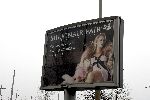 Amsterdam 15 december 2004
Nicolette v Dam Billboard Miljonairs fair