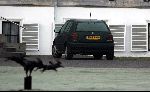 Soestdijk 2 december 2004
Auto Prinses Margarita bij paleis Soestdijk