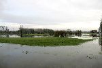 Weesp 26 november 2005
Golfbaan Weesp helemaal onder water