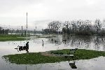 Weesp 26 november 2005
Golfbaan Weesp helemaal onder water