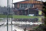 Weesp 26 november 2005
Golfbaan Weesp helemaal onder water
De Meeuwen, ganzen en eenden hebben vrij spel