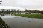 Weesp 26 november 2005
Golfbaan Weesp helemaal onder water