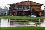 Weesp 26 november 2005
Golfbaan Weesp helemaal onder water