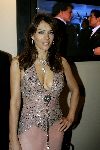 Amsterdam 8 december 2005
VIP avond miljonairs fair in Rai. 
Liz Hurley