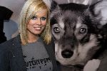 Amsterdam 30 januari 2006
Presentatie nieuwe t shirts dutchy puppy met Bridget Maasland.