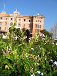 17 Januari 2007 Marbella ( Spanje )
Golfbaan Flamingos Golfclub + clubhuis + Hotel