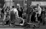 Eindhoven, 1986 Carnaval
Wedstrijd tussen de teams van PSV en EVV Eindhoven op het stationskwartier