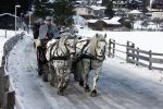 Bad Gastein 13 januari 2007
Pieter v Vollenhoven en Prinses Margriet op vakantie met Prins Maurits Prinses Marilene Prinses Anna Prins Lucas Prins Bernhard jr Prinses Annete Prinses Isablle Prins Sam Prins Pieter Christiaan Prinses Anita Prins Floris en Prinses Aimee vanwege hun 40 jarig huwelijk.