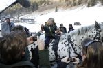 Bad Gastein 13 januari 2007
Pieter v Vollenhoven en Prinses Margriet op vakantie met Prins Maurits Prinses Marilene Prinses Anna Prins Lucas Prins Bernhard jr Prinses Annete Prinses Isablle Prins Sam Prins Pieter Christiaan Prinses Anita Prins Floris en Prinses Aimee vanwege hun 40 jarig huwelijk.
