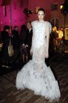 Amsterdam 12 januari 2012
Uitreiking Elle style awards in het scheepvaartmuseum. Valentijn de Hingh
Peter Smulders bv
