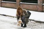 Amsterdam 19 januari 2013
Estelle Cruijff met haar hondje Ficq ( vernoemd naar advocaat Benedicte Ficq)
Peter Smulders bv
