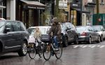 Amsterdam 11 januari 2013
Isa Hoes met dochter Vlinder op de fiets in amsterdam zuid.