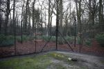 Lage Vuursche 15 januari 2014
Graf prins Friso.