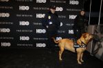 Amsterdam 13 januari 2013
Premiere True detective van HBO.
