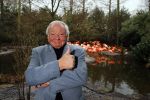 Alphen aan de Rijn 22 januari 2015
Presentatie nieuwe bassie en adriaan film.
Aad van Toor (Adriaan), Fedor Rossem (Boef Linke Leo), Job Bovelander (Koen), Janouk Kelderman (Keet!), Peter Sterk (Boef 1001) en Bas van Toor (Bassie) in Avifauna