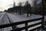Dachau, 18 Januari 2016
Dachau Concentratiekamp
Dachau Vernietigingskamp