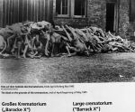 Dachau, 18 Januari 2016
Dachau Concentratiekamp
Dachau Vernietigingskamp