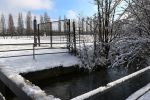 Dachau, 18 Januari 2016
Dachau Concentratiekamp
Dachau Vernietigingskamp