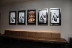 Amsterdam 1 februari 2016
Premiere Guido Spek in nieuwe de la mar theater.