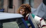 Amsterdam 6 februari 2016
Katja Schuurman en haar vriend Freek v Noortwijk hallen samen Sammie op bij haar vader Thijs Romer. Thijs woont net in een ander appartement.