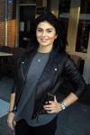 Amsterdam 28 januari 2016 
Presentatie heel Holland zingt Hazes met aanwezig, Roxeanne Hazes Andre Hazes (met vriendin Monique) Jeroen v d Boom Lange Frans Danny de Munk en Sjors v d Panne.