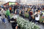 Amsterdam 21 januari 2017 
Boer Tom Groot bij event met tulpen bij paleis op de dam.